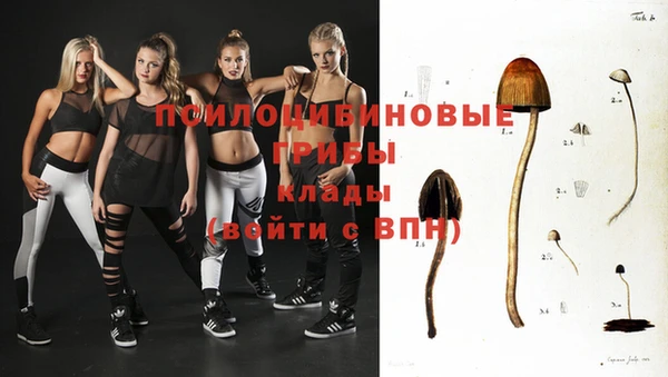 бошки Сафоново
